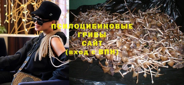 бошки Алексеевка
