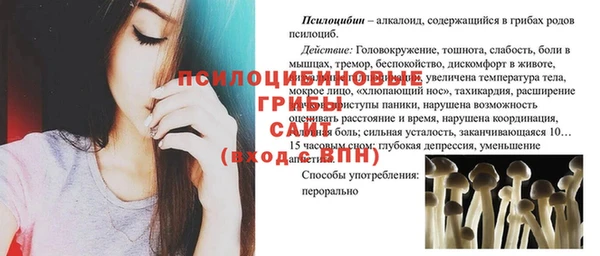 хмурый Осинники