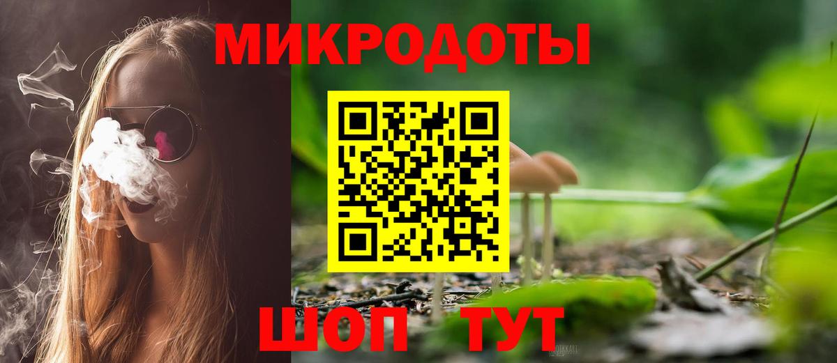 Галлюциногенные грибы Psilocybine cubensis Тобольск