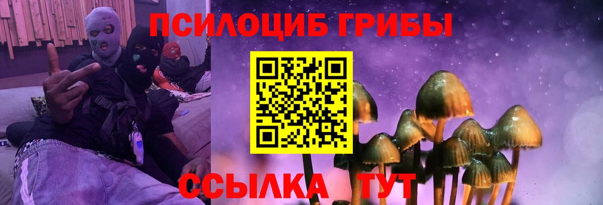 Галлюциногенные грибы Magic Shrooms  Вход с VPN  Тобольск 